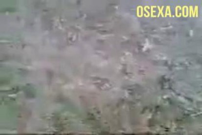 Узбечка в дубае порно видео